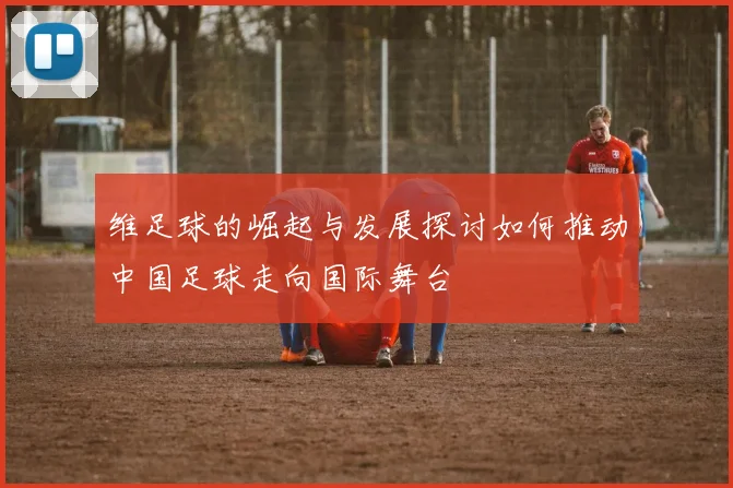 维足球的崛起与发展探讨如何推动中国足球走向国际舞台