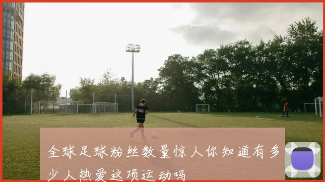 全球足球粉丝数量惊人你知道有多少人热爱这项运动吗